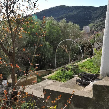 Vue 66 Apartment Cerbere